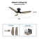 Elegis 44'' Ceiling Fan with LED Lights