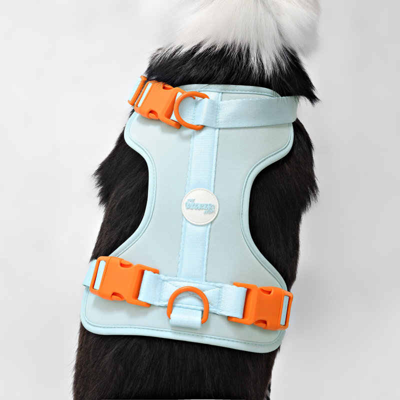 Harnais pour animal de compagnie Arlo, Bleu clair, Grand