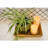Gracie Oaks Decorative Bin