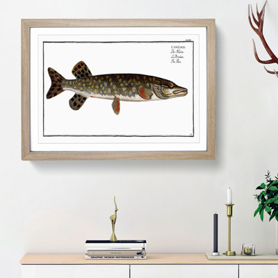 Pike Fish by M.E. Bloch - Picture Frame Painting Print on MDF