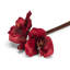 Amaryllis avec 3 fleurs artificielles-1249631558
