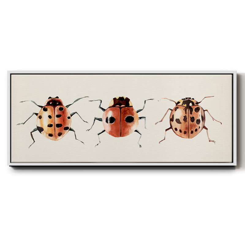 Ladybug Display II- Framed Canvas