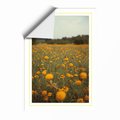 Wildflower Meadow Botanical - Framed Print