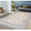 Oriental Area Rug in Light Blue