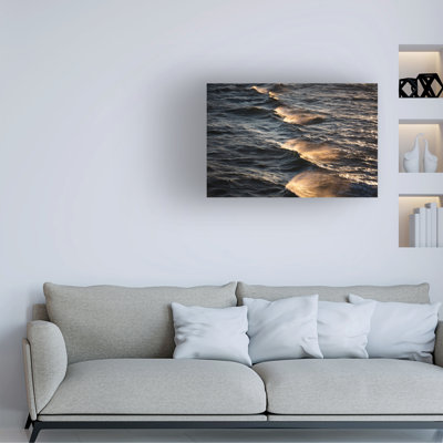 Bolog Mareike Bohmer  Sunkissed Waves Canvas Art