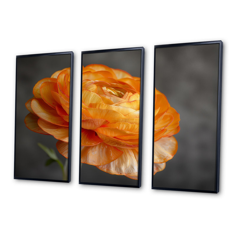 Ensemble de décorations murales orange et noir Ranunculus Bloom I - Ranunculus, Toile avec cadre flottant noir