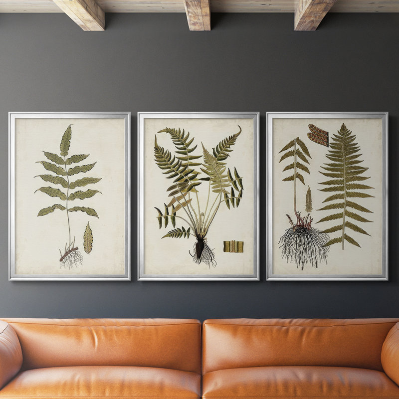 Fern Botanical III - Toile tendue avec châssis sur mesure - 3 pièces, Argent argent, H 30 po x l 63 po