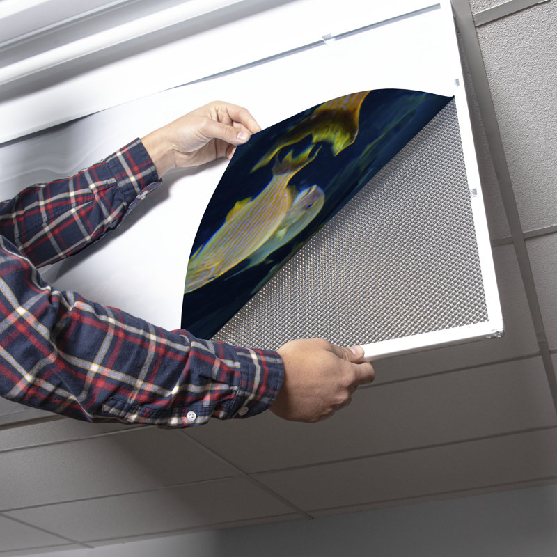 Couvre-lumière décoratif flexible océan