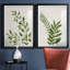 «Botanical Wash I», ensemble de 2 reproductions d'art sur toiles-455244305-455244317-455244319