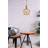 Celyn 1-Light Metal Lantern Pendant-1068056814