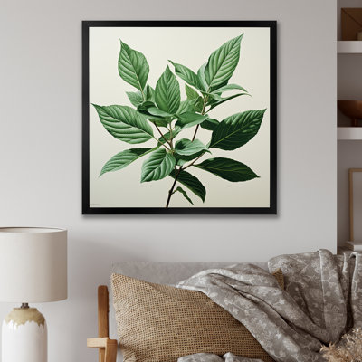 Menthe fraîche, feuilles de minimalisme sérénité II