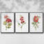 Ensemble de 3 pièces encadrées sur toile géranium écarlate-97706596-97706598