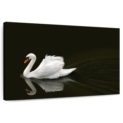 Cygne blanc élégant Brampt