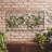 Wall Mounted Geometric Lattice Frame Trellises