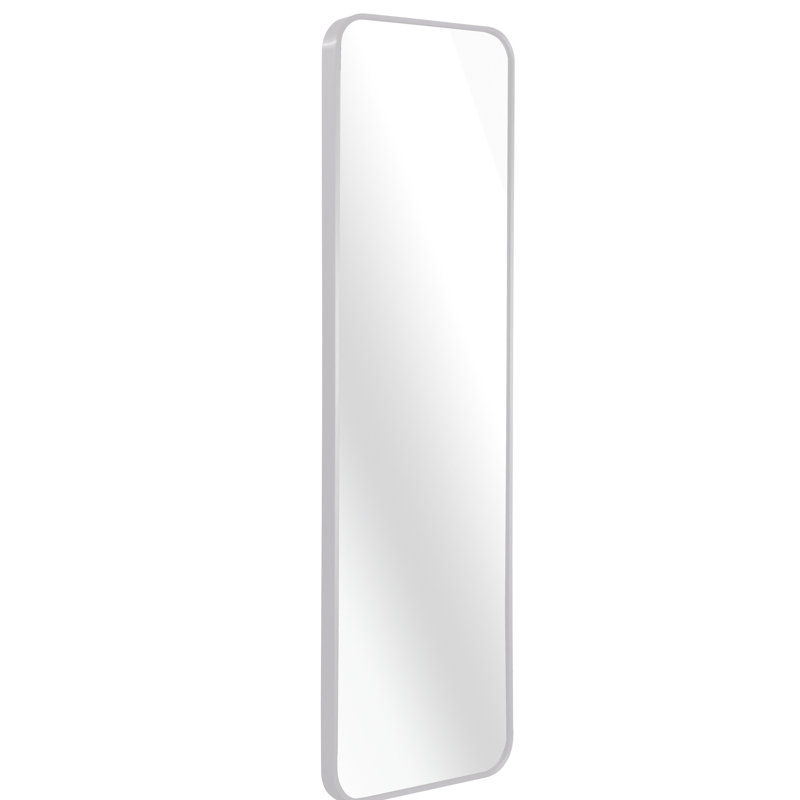 Miroir de porte argenté 47 po x 14 po - Style élégant, verre de 4 mm de diamètre, cadre en alliage d'aluminium rouille, structure murale de couloir de 47 po x 14 po, cadre