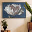 White Peony - reproduction sur toile avec cadre flottant-93410810-93410809