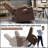 Large Power Lift Recliner Chair With Massage, Heat, And USB Ports For Elderly Comfort And Support-1585584657