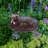 Antique Birdbath with Birds and Stake