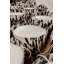 Pearls Black Candle-357846701