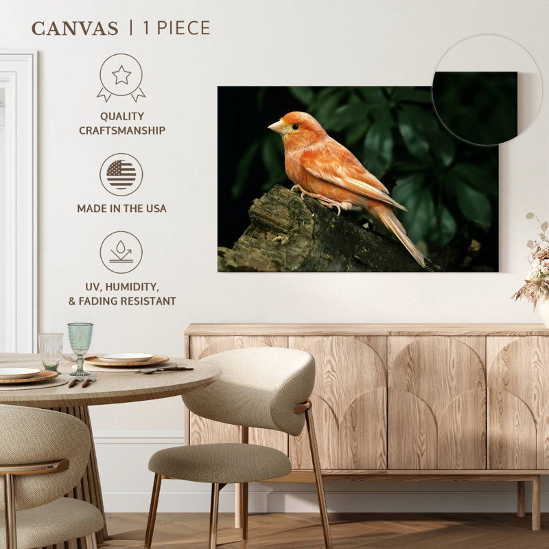 Crowle Canary Bird