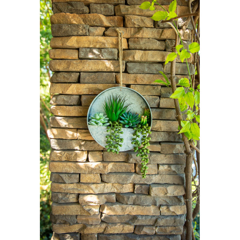 Olvera 8'' Faux Succulent in Metal Pot Liner