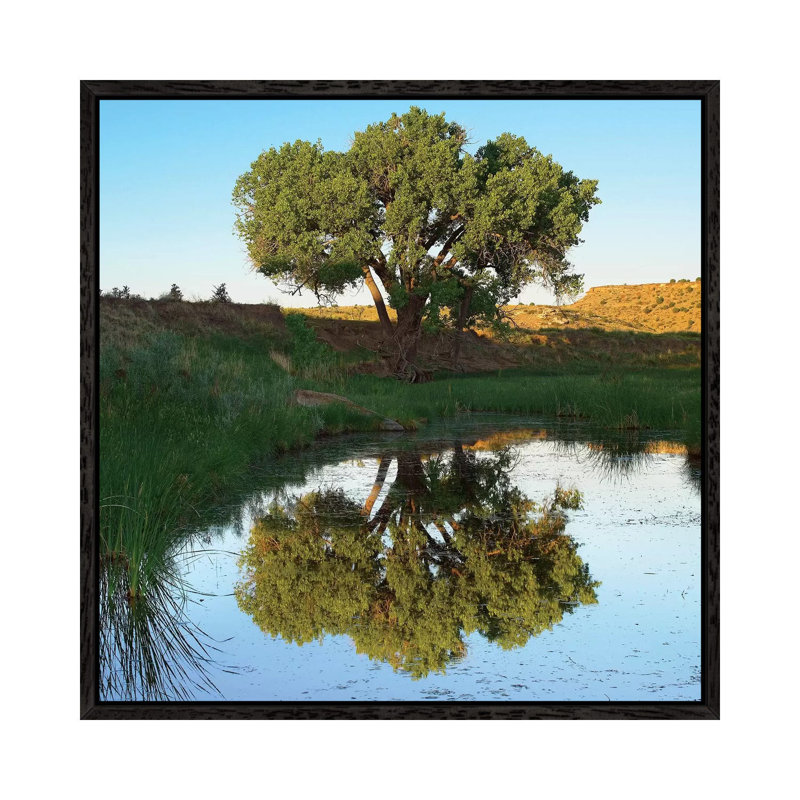 Tree Reflecting In Creek Near Black Mesa State Park, Oklahoma 1 Piece Wall Art on Canvas, 93.98 cm H x 93.98 cm W