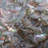 1'' x 8'' Ceramic Listello