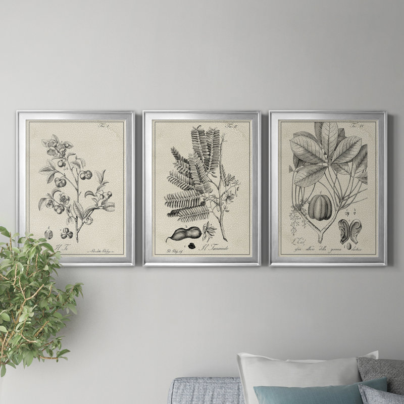 «Antique Black and White Botanical IV», ensemble de 3 peintures sur toile encadrées, H 22,5 po x l 91,5 po x P 1,5 po, Argent