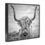 Highland Cow - reproduction de photographie sur toile-1691875511-1691875506