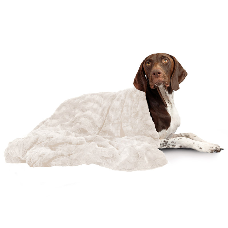 Large Cream Faux Fur Pet Blanket, 40x50