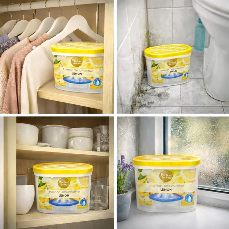 Home Moisture Absorber Lemon Dehumidifier Tub Damp Condensation Mould Odour Control For Bedroom Bathroom Kitchen Wardrobe Basement (Pack Of 1)