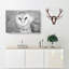 Barn Owl - Wrapped Canvas Painting-56657858