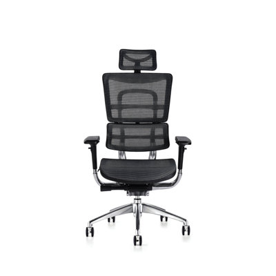 Desk Chair with Headrest