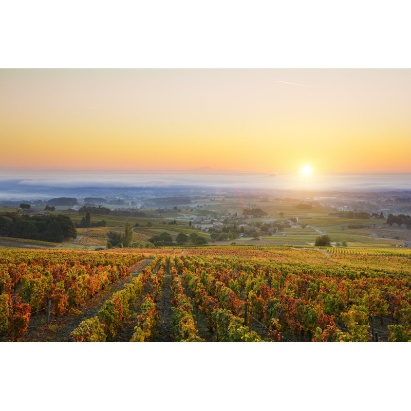 Eavan Sunrise Over Vineyards - Wrapped Canvas Print, 20cm H x 30cm W x 3.8cm D