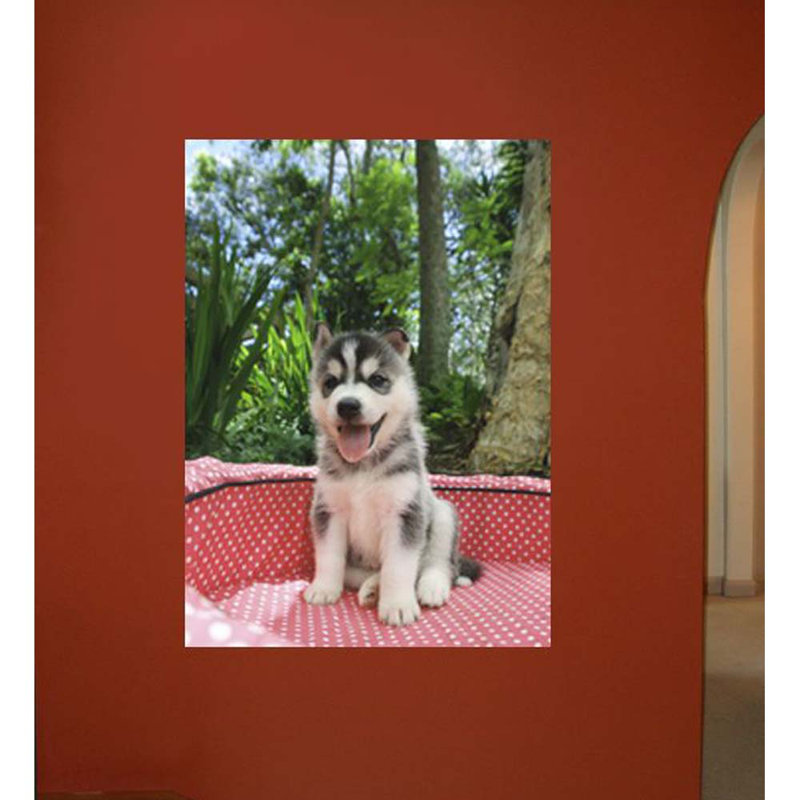 Animals Non-Wall Damaging Wall Decal, 48" H x 34.5" W x 0.1" D