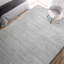 Silk Area Rug in Light Grey-2034240214
