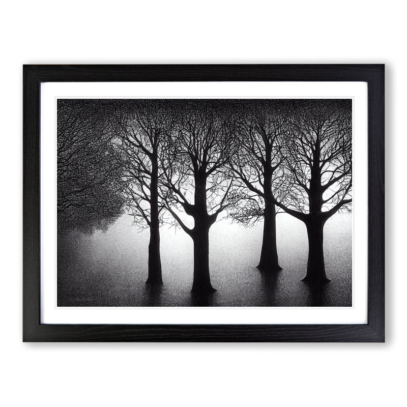 Enlightened Trees - Single Picture Frame Print, 25cm H x 34cm W x 2cm D, Black Framed