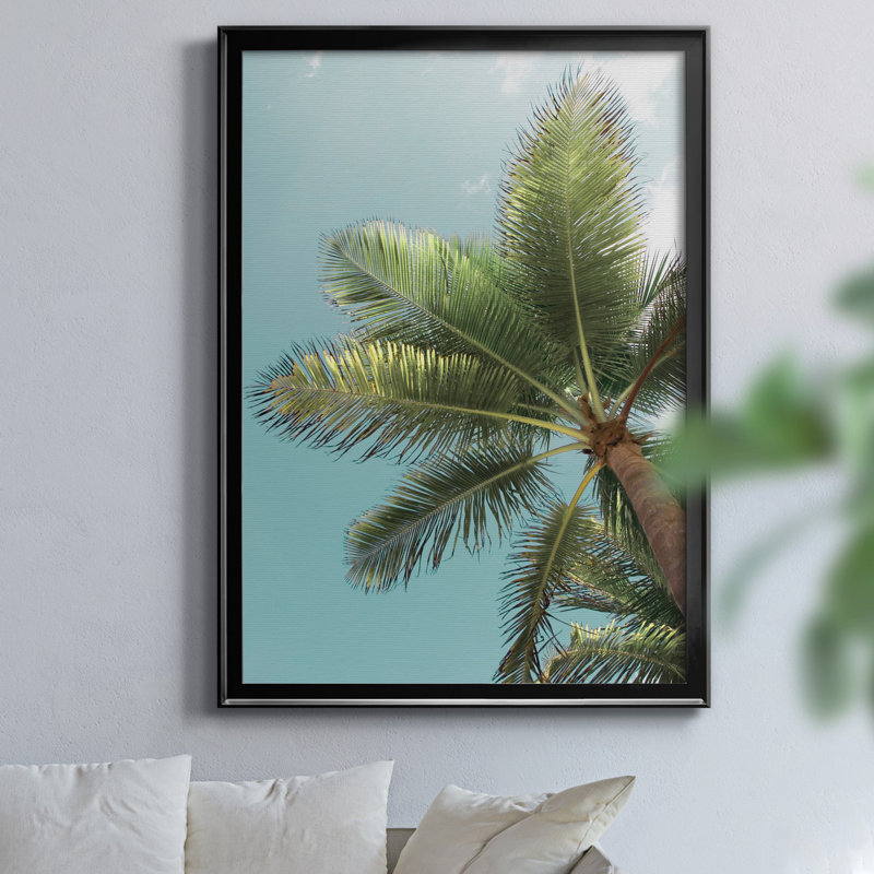 Danita Delimont par J Paul - reproduction de photo sur toile encadrée, H 26,5 po x l 36,5 po x P 1,5 po, Noir