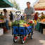 Chariot utilitaire d'extérieur pliable avec porte-gobelets et poignée réglable
