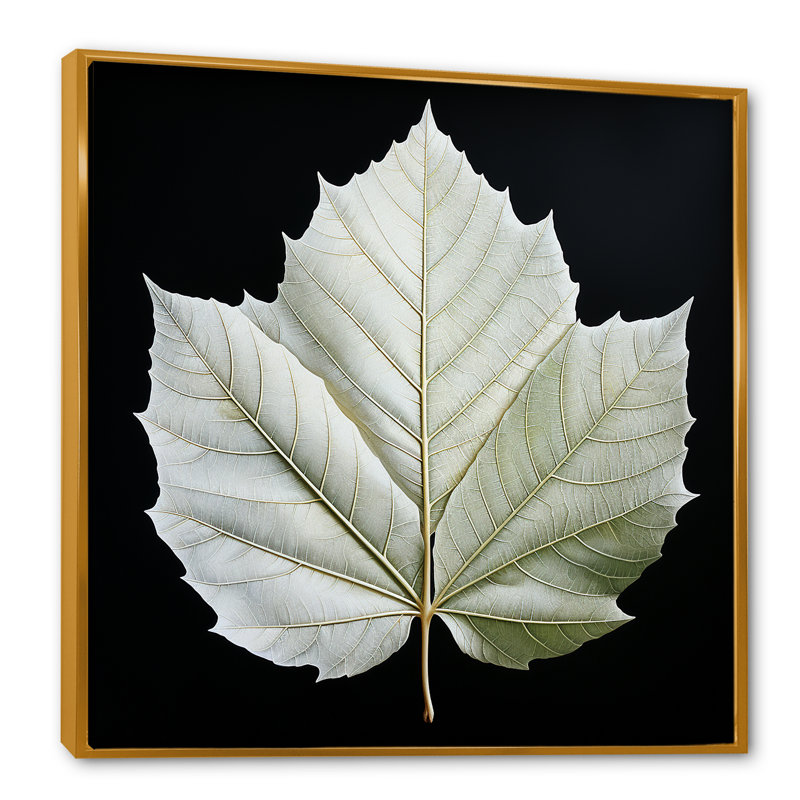 Feuilles noires et blanches sur verre, Cadre flottant doré, H 24 po x l 24 po x P 1 po