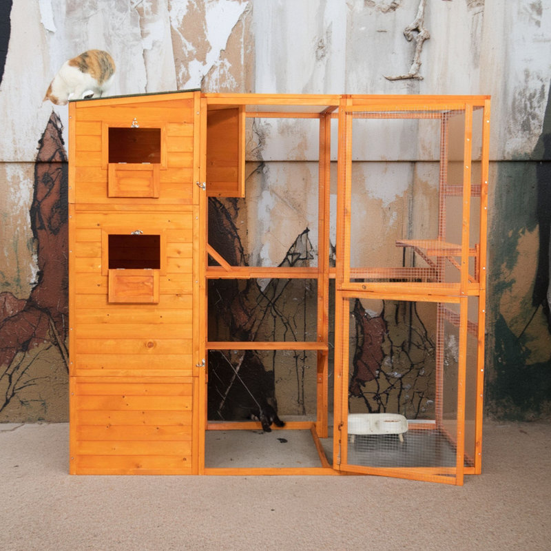 Big Cat Villa - orange