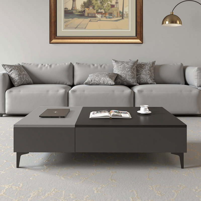 Nadolyn 51.18" Lift Top Coffee Table with Hidden Storage Compartment and 2 Drawers