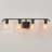 Matte Black Vanity Light With Clear Glass Shade-823407943