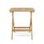Table pliante à pique-nique 24 po WINDSOR