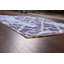 Contemporary Abstract Oriental Area Rug 4x6