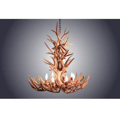 Kaplan 8 - Light Chandelier