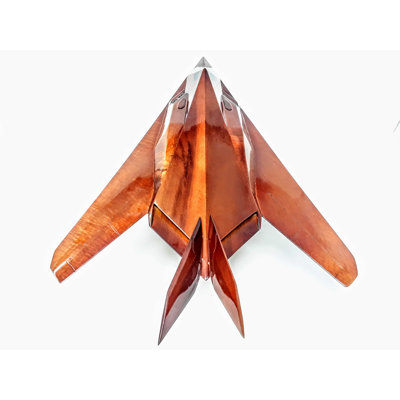 Maquette de chasse Ryburn F117