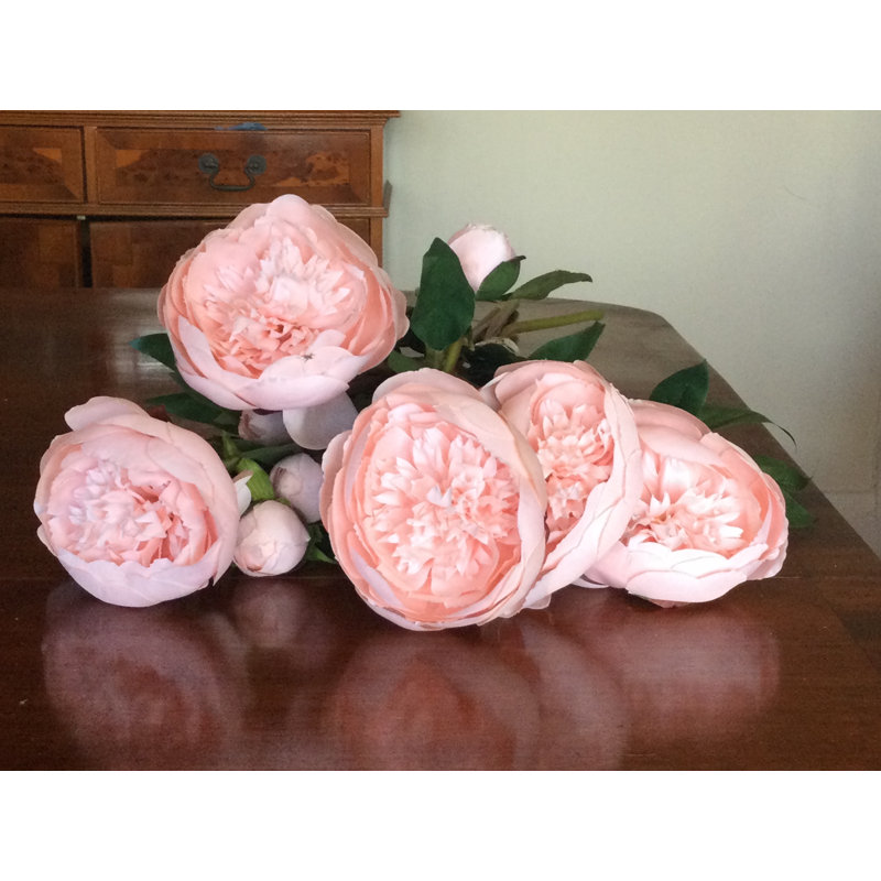 Frilled Peony, Blush Pink