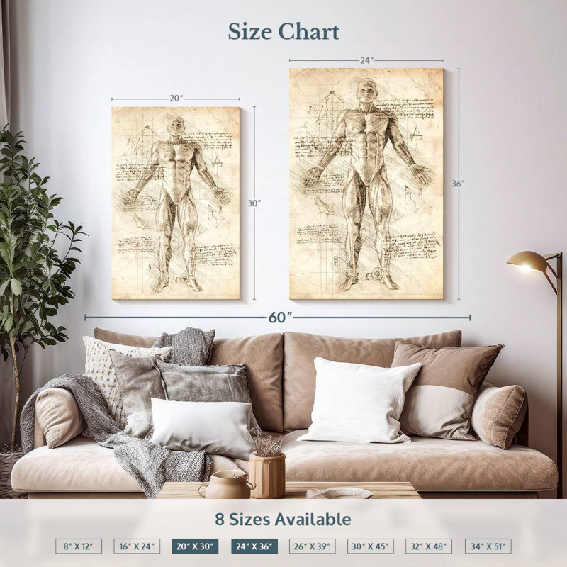 Keiri Human Muscles Anatomy, 36" H x 24" W