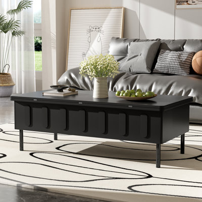 Lift Top Coffee Table With Storage by Latitude Run